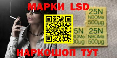 spice Гатчина