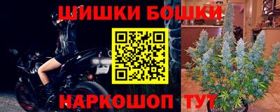 spice Гатчина