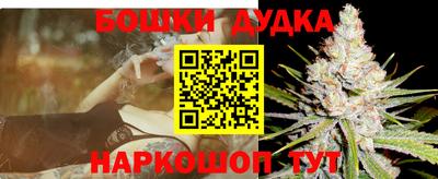 СК Гай