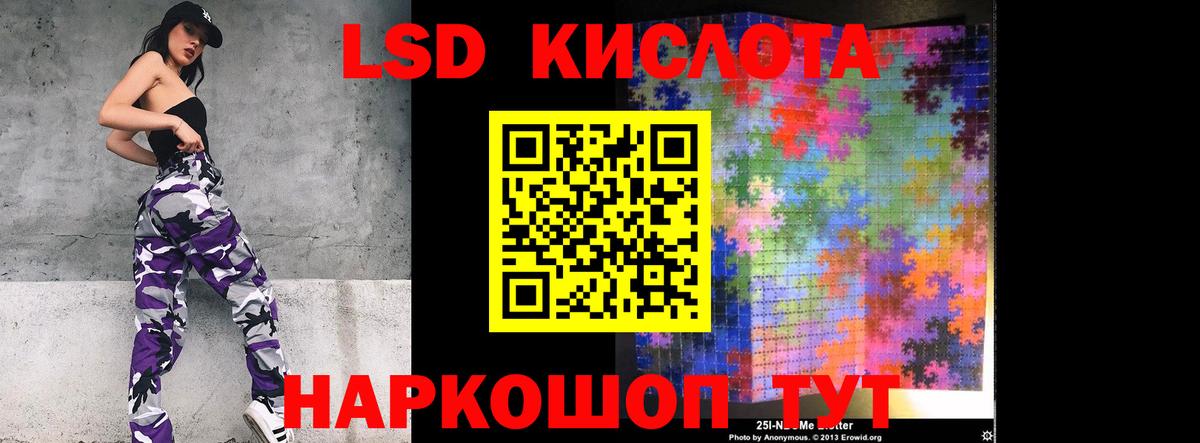 Галлюциногенные грибы Междуреченск