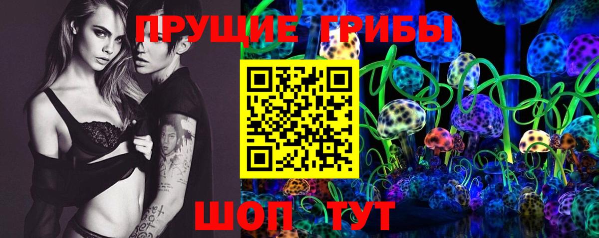 купить   Галлюциногенные грибы мицелий  Вход с VPN  Междуреченск 